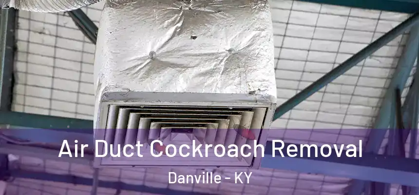 Air Duct Cockroach Removal Danville - KY