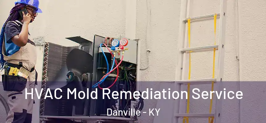 HVAC Mold Remediation Service Danville - KY
