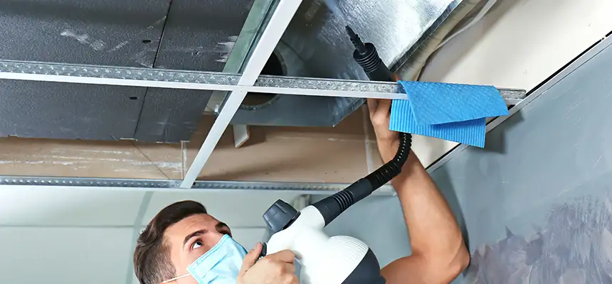 Our Air Duct Rodent Removal Services in Danville, KY