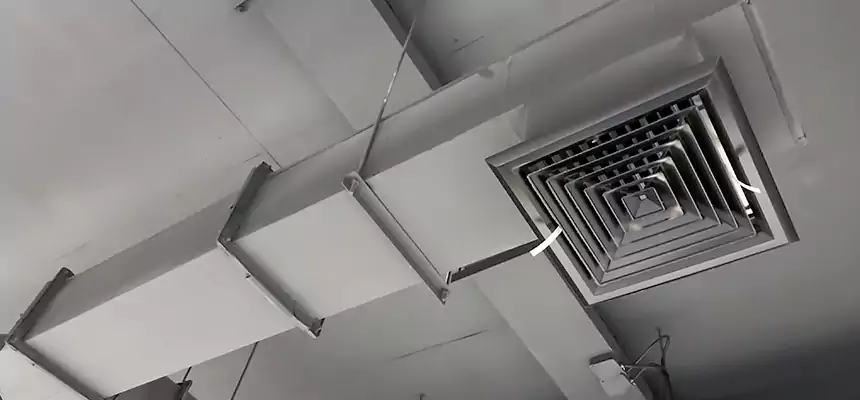 Our Rodent Droppings In Vents Services in Danville, KY