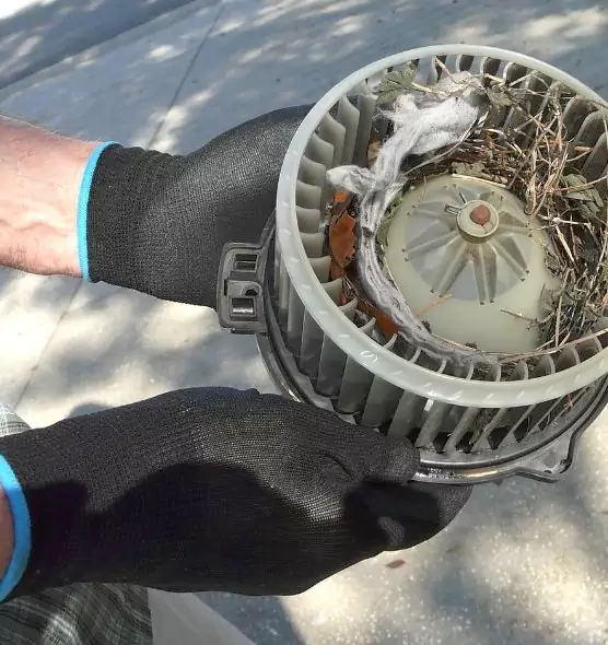 About Air Duct Mice Removal in Danville, KY