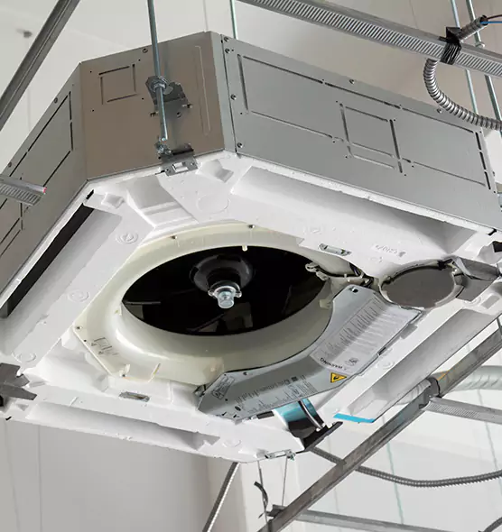 Professional Roof Vent Lint Removal Danville, KY