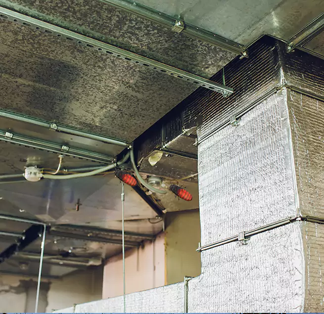 Why Homeowners & Businesses Trust Us in Danville, KY?